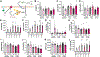 Figure 7:
