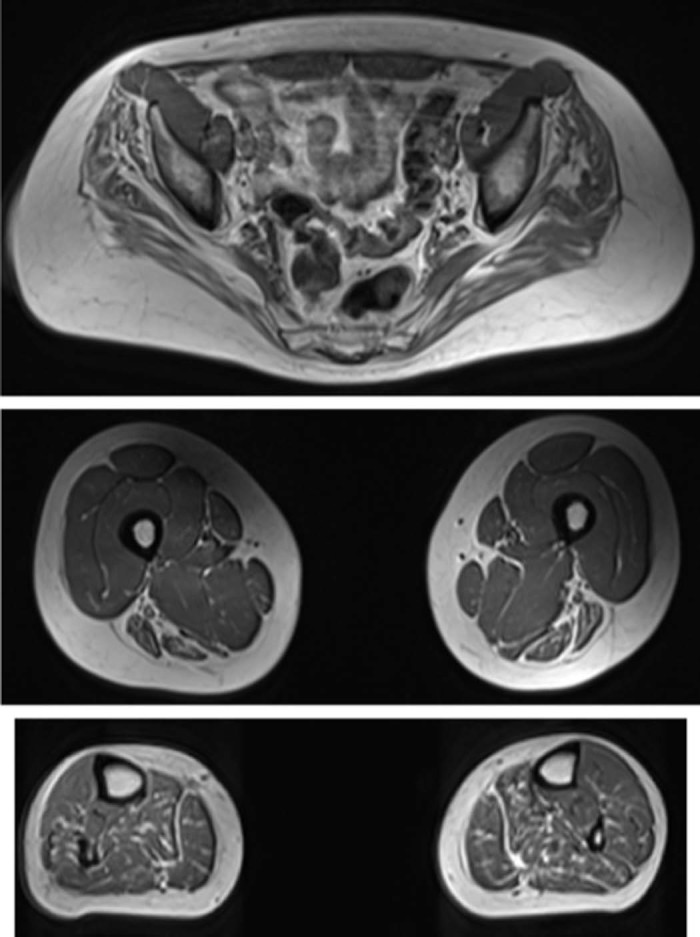 Fig. 2