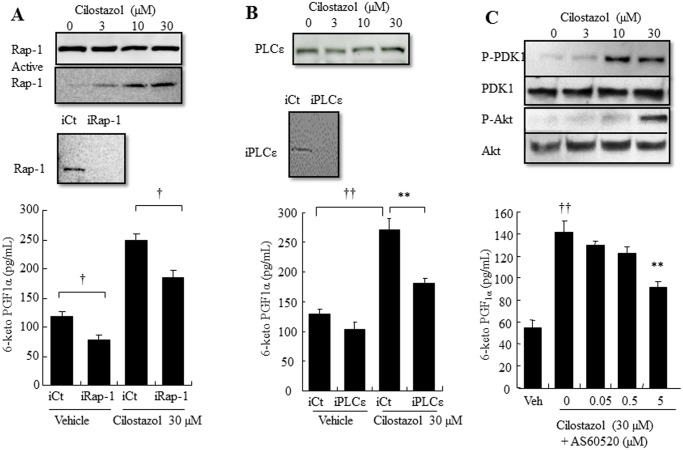 Fig 5