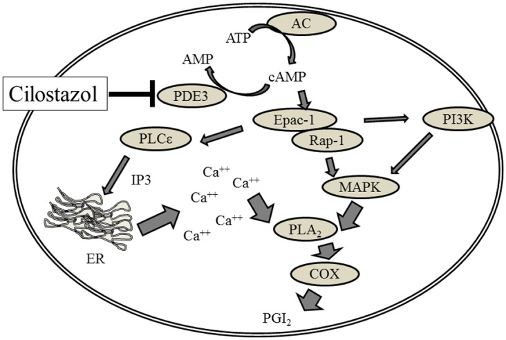 Fig 8