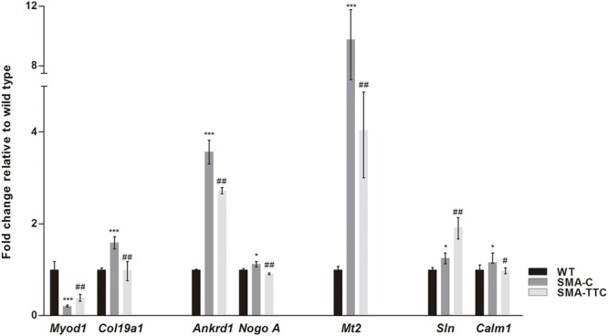 FIGURE 4