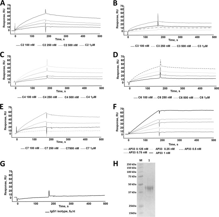 FIG 3