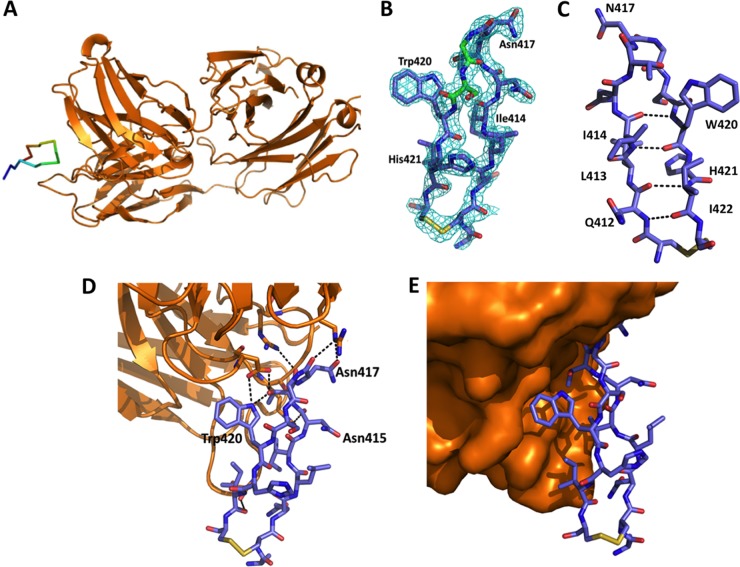 FIG 6