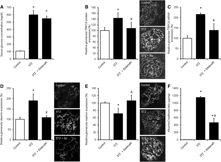 Figure 12.