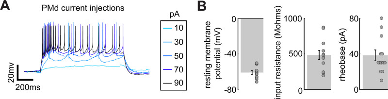 Figure 2—figure supplement 3.