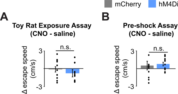 Figure 5—figure supplement 1.