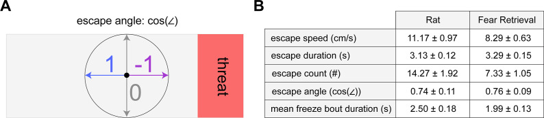 Figure 2—figure supplement 1.