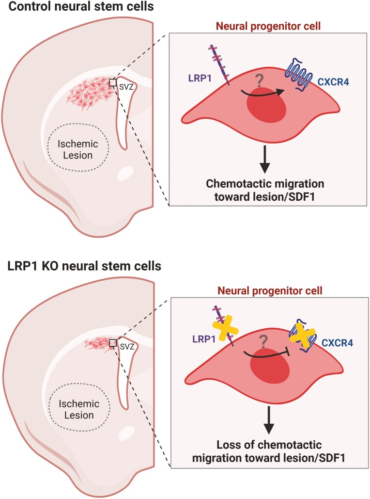 Graphical Abstract