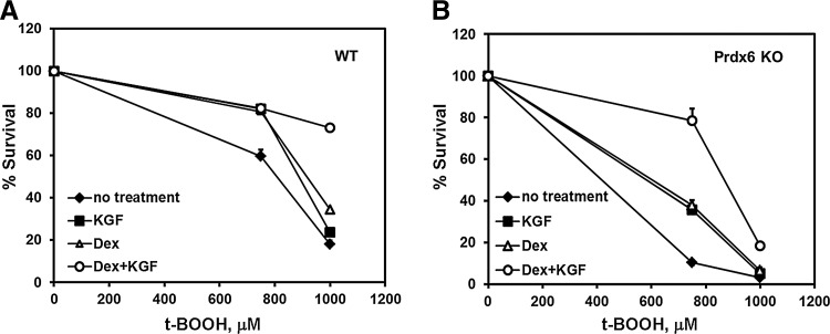 FIG. 12.