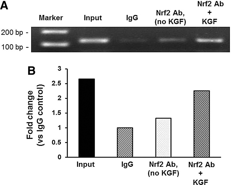 FIG. 7.