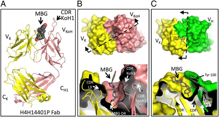 Fig. 7.