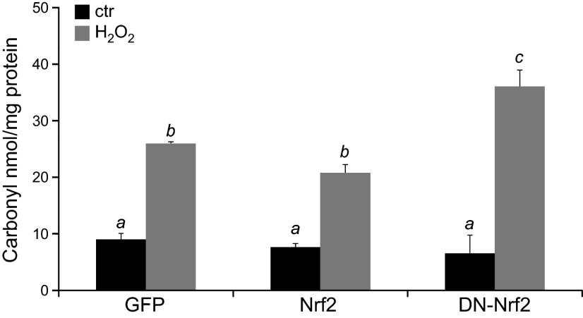 Figure 9.