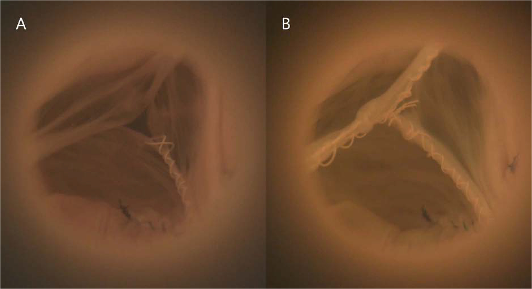 Figure 1: