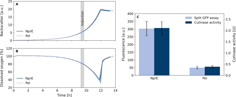 Fig. 8