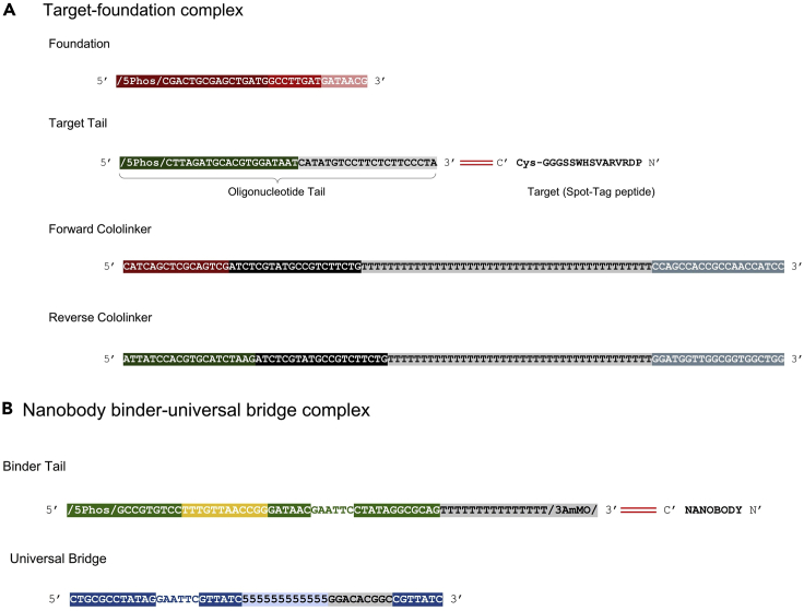 Figure 4