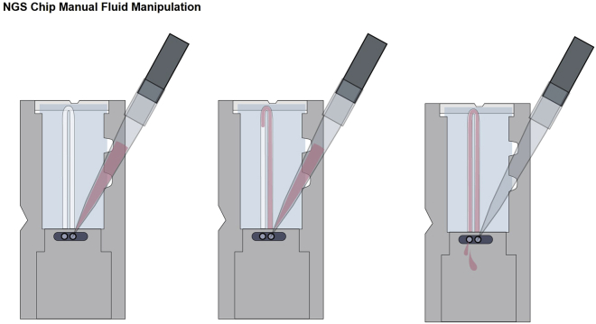 Figure 5