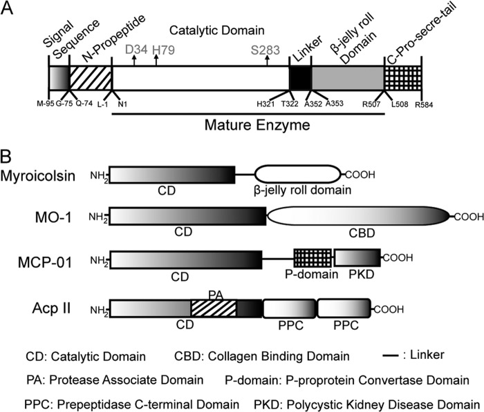 FIGURE 2.