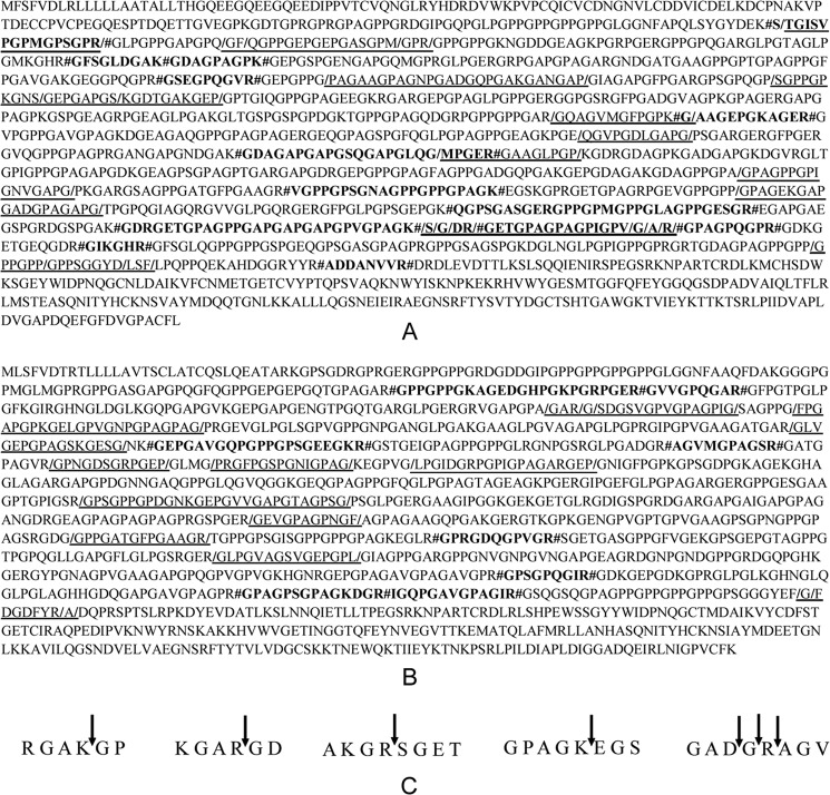 FIGURE 7.