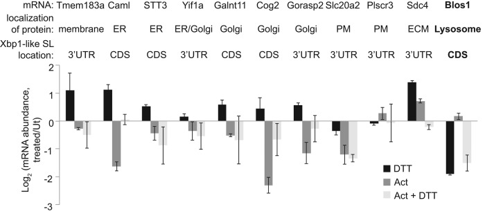 FIGURE 3: