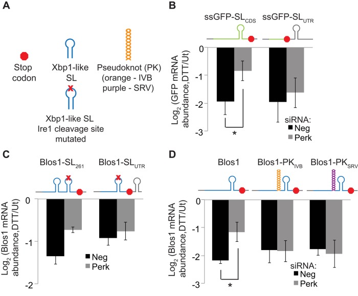 FIGURE 6: