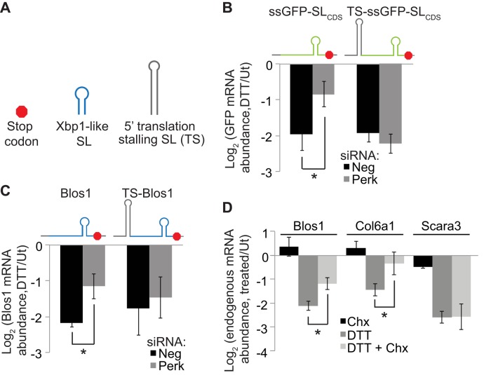 FIGURE 5: