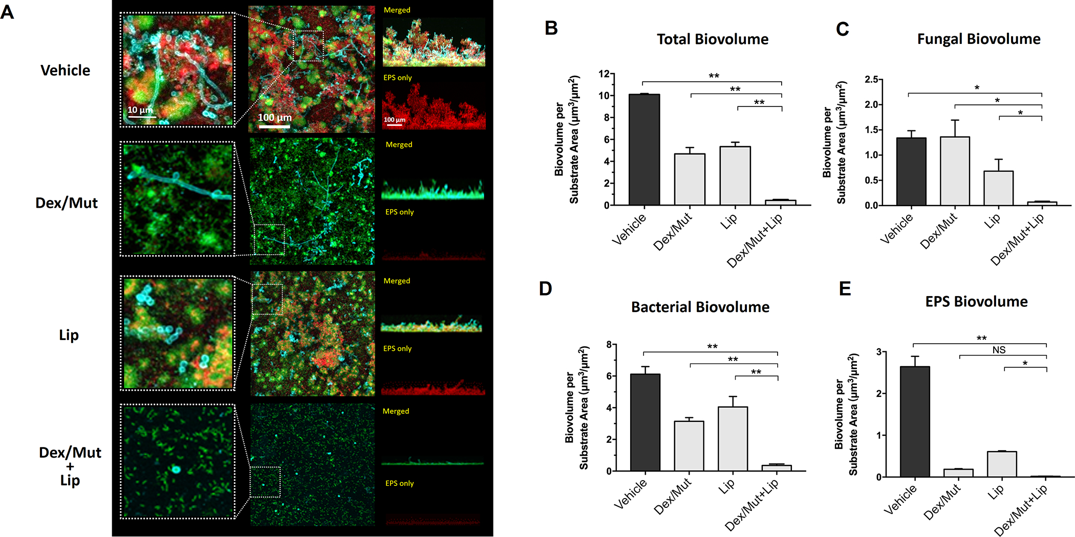 Figure 4: