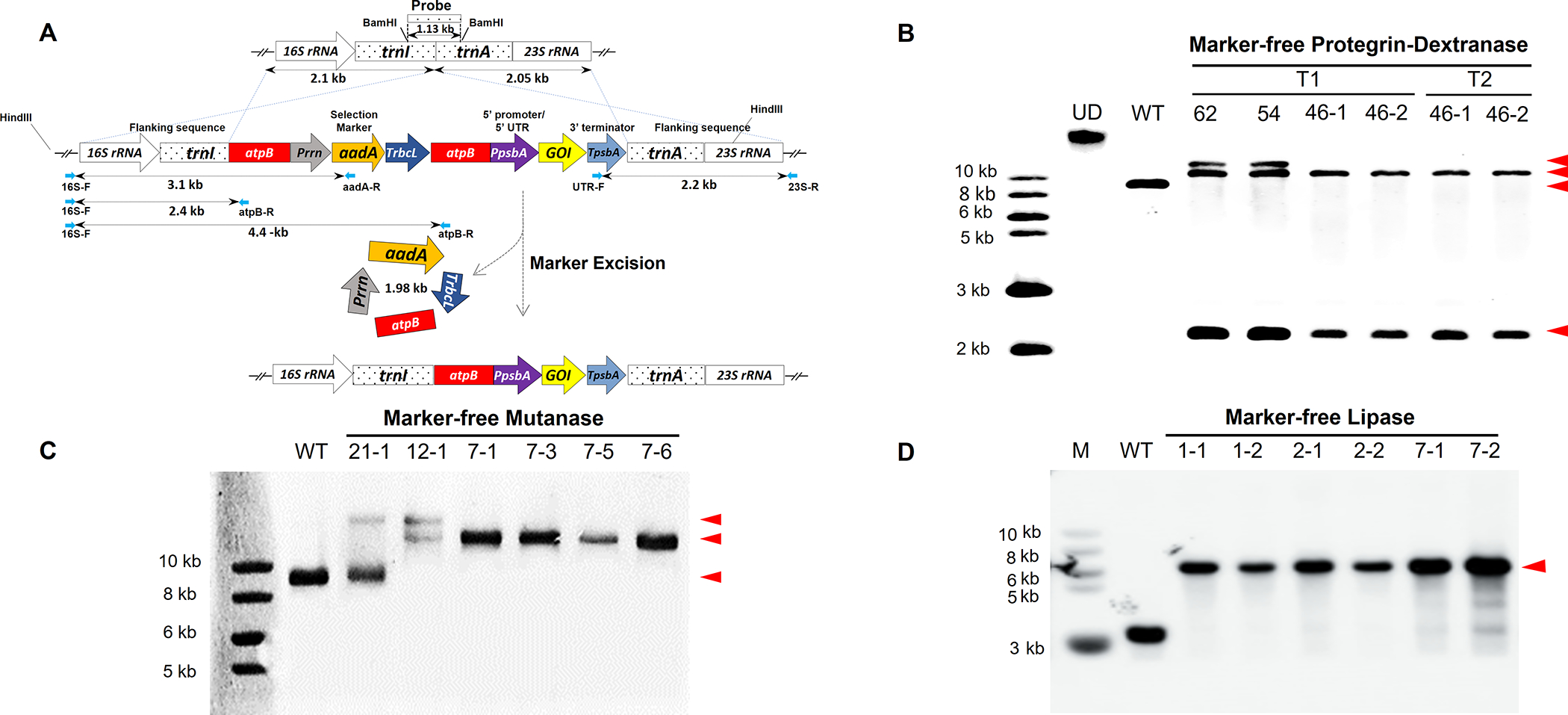 Figure 1: