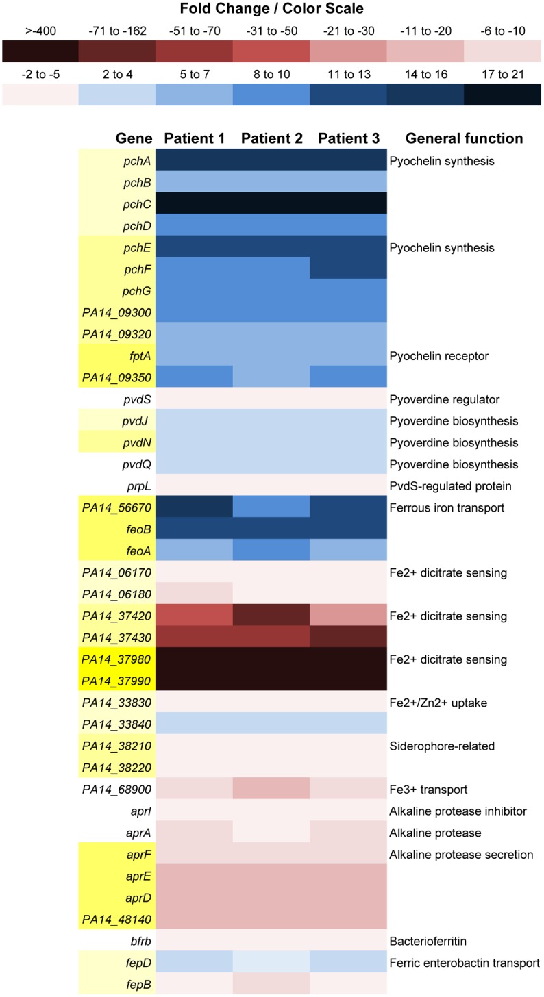 Fig 3