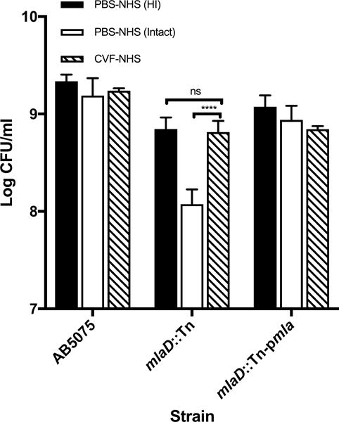 Figure 7