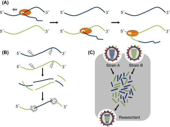 Figure 2.3