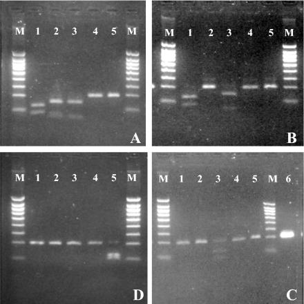 FIG. 5.