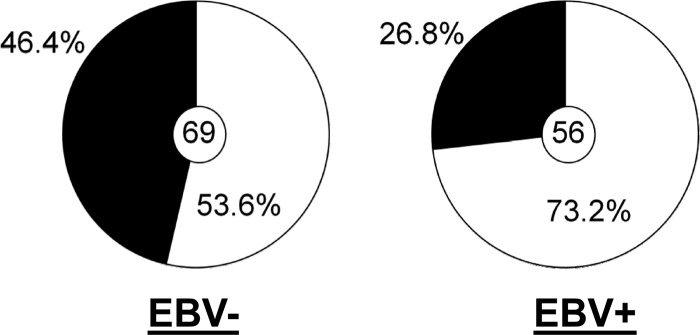 Fig 7