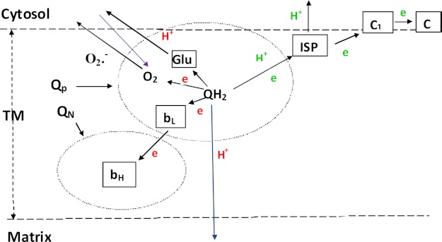 FIGURE 8.