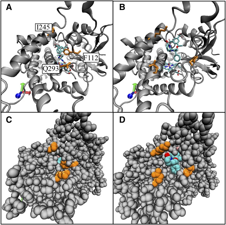 Fig. 7.