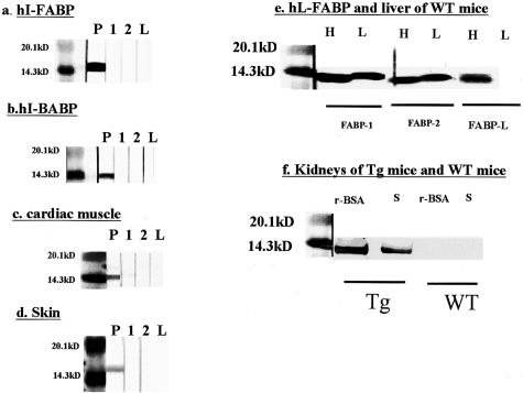 Figure 7-4250