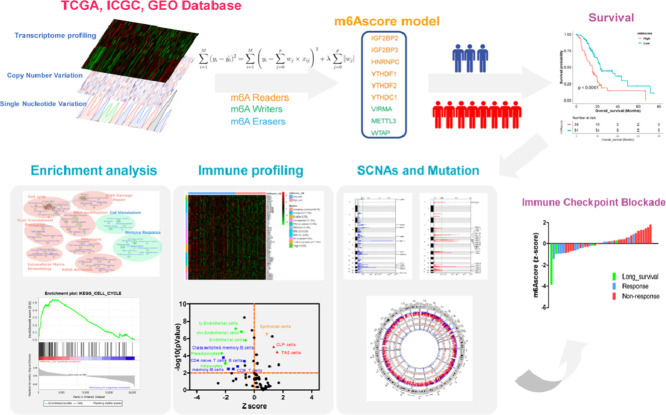 Image, graphical abstract