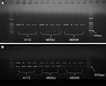 Fig. 6