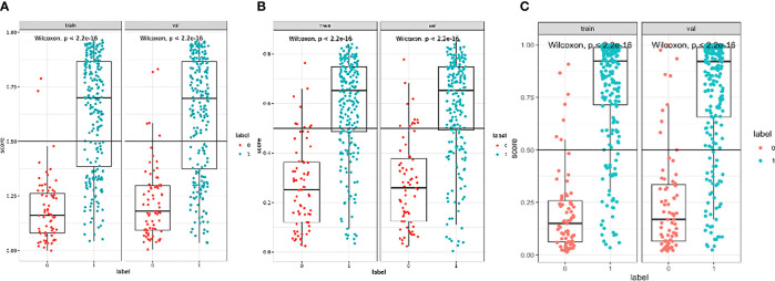 Figure 5