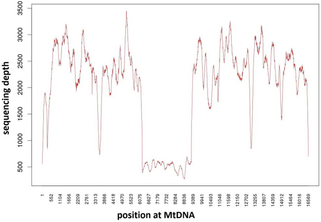 FIGURE 3