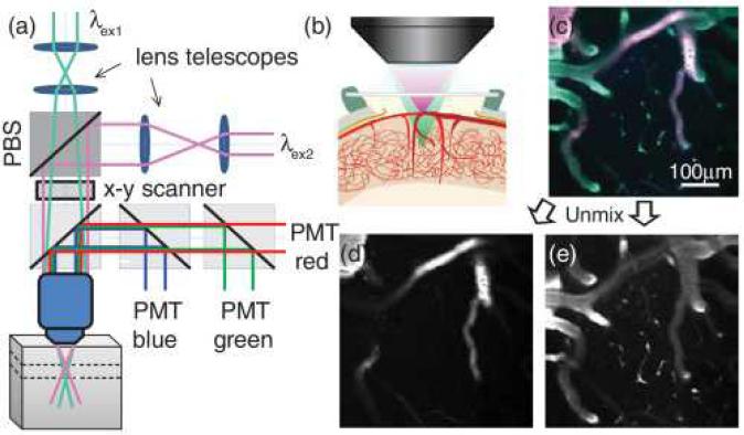 Fig. 1