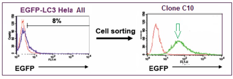 Fig. (2)