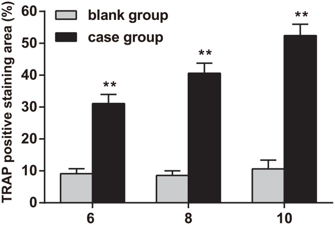 Fig 7