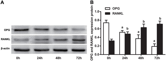 Fig 9