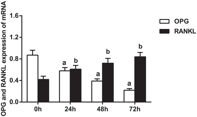 Fig 8