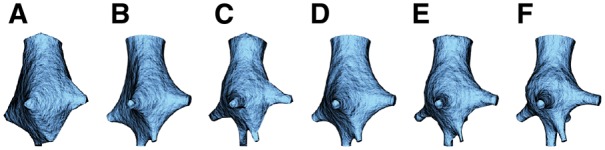 Fig. 8.