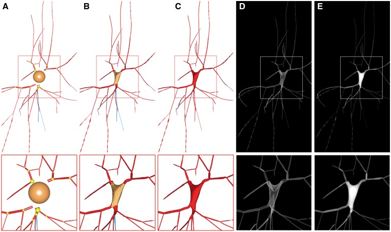 Fig. 7.