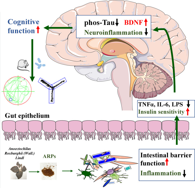 graphic file with name DDDT-16-1931-g0001.jpg