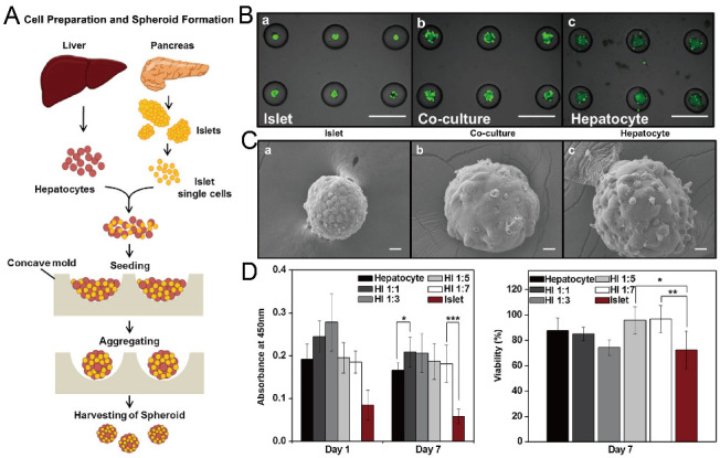 Figure 19