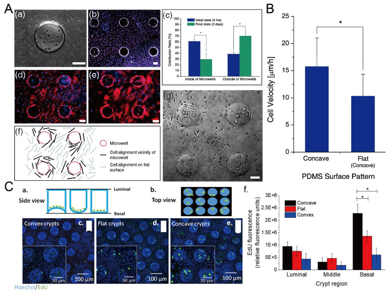 Figure 23