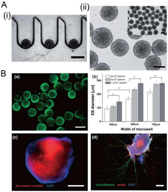 Figure 20